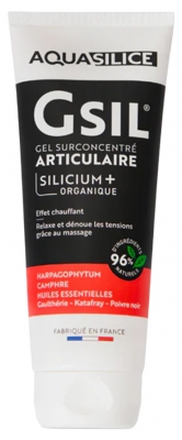 Aquasilice GSA Pocket Gel Sur Concentré Articulaire 50 ML