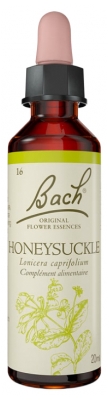Fleurs de Bach Original Fleurs de Bach® Original Honeysuckle / Chèvrefeuille / Lonicera Caprifolium