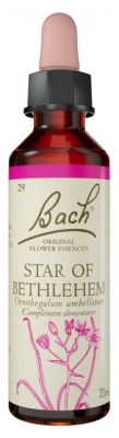 Fleurs de Bach Original Star Of Bethlehem / Étoile de Bethleen / Ornithogalum Umbellat