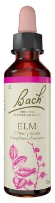 Fleurs de Bach Original Fleurs de Bach® Original Elm / Orme / Ulmus Procera
