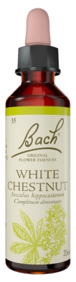 Fleurs de Bach Original Fleurs de Bach® Original White Chestnut / Marronnier Blanc / Aesculus Hippocastanum