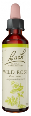 Fleurs de Bach Original Fleurs de Bach® Original Wild Rose / Églantier / Rosa Canina