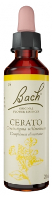 Fleurs de Bach Original Fleurs de Bach® Original Cerato / Plumbago / Ceratostigma Willmottiana