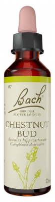 Fleurs de Bach Original Fleurs de Bach® Original Chestnut Bud / Bourgeons de Marronnier / Aesculus Hippocastan