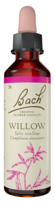 Fleurs de Bach Original Fleurs de Bach® Original Willow / Saule / Salix Vitellina