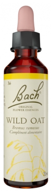 Fleurs de Bach Original Fleurs de Bach® Original Wild Oat / Avoine Sauvage / Bromus Ramosus