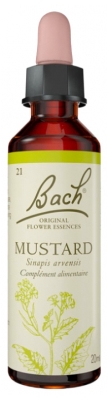 Fleurs de Bach Original Fleurs de Bach® Original Mustard / Moutarde / Sinapis Arvensis