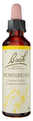 Fleurs de Bach Original Fleurs de Bach® Original Hornbeam / Charme / Carpinus Betulus