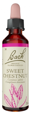 Fleurs de Bach Original Fleurs de Bach® Original Sweet Chestnut / Châtaignier / Castanea Sativa