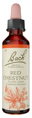 Fleurs de Bach Original Fleurs de Bach® Original Red Chestnut / Marronnier Rouge / Aesculus Carnea