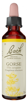 Fleurs de Bach Original Fleurs de Bach® Original Gorse / Ajonc / Ulex Europaeus