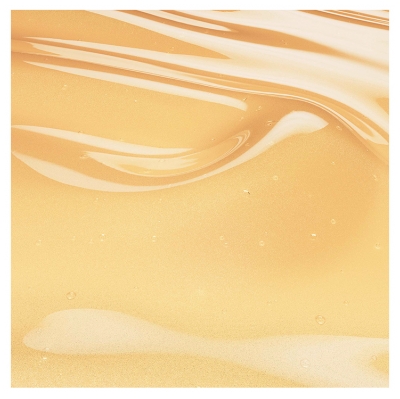 Les Secrets de Loly Perfect Clean Shampoing 250 ml