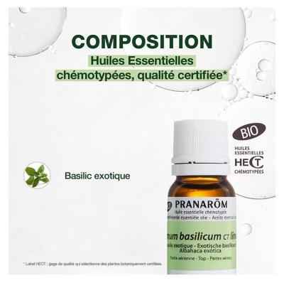 Pranarôm Basilic Exotique Ocimum Basilicum Bio 10 ml