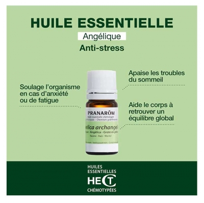 Pranarôm Huile Essentielle d'Angélique Angelica Archangelica L. 5 ml