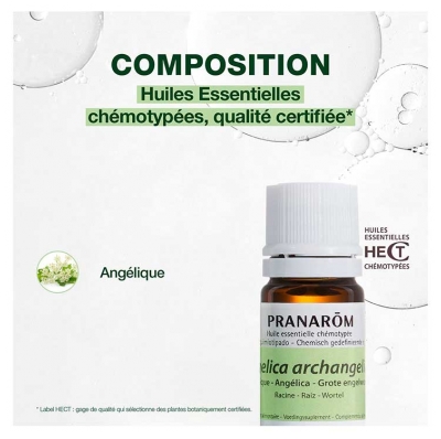Pranarôm Huile Essentielle d'Angélique Angelica Archangelica L. 5 ml