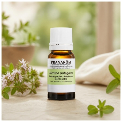Pranarôm Huile Essentielle Menthe Pouliot Mentha Pulegium 10 ml