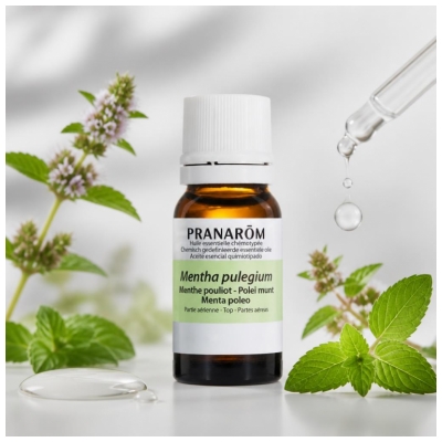 Pranarôm Huile Essentielle Menthe Pouliot Mentha Pulegium 10 ml