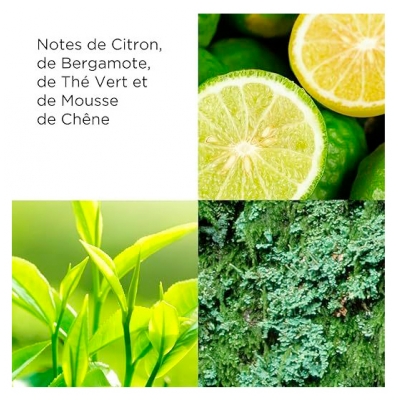 Elizabeth Arden Green Tea Gel Énergisant Bain 200 ML