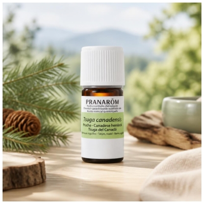 Pranarôm Huile Essentielle Pruche (Tsuga Canadensis) Hect 5 ml