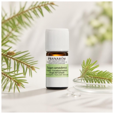 Pranarôm Huile Essentielle Pruche (Tsuga Canadensis) Hect 5 ml