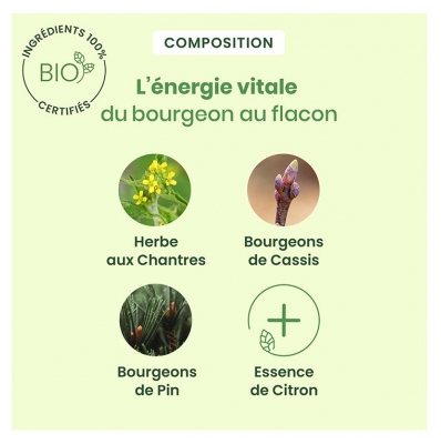 HerbalGem Gommes Chantres Adoucit et Apaise Bio 24 Gommes