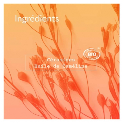 Sanoflore Cera Botanica Baume Mains Réparateur Biologique 50 ML