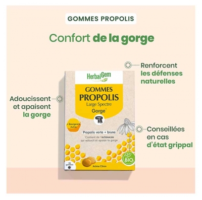 HerbalGem Gorge Duo Propolis Verte et Brune Bio 24 Gommes