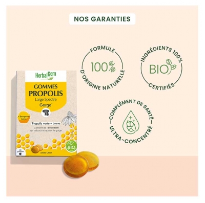 HerbalGem Gorge Duo Propolis Verte et Brune Bio 24 Gommes
