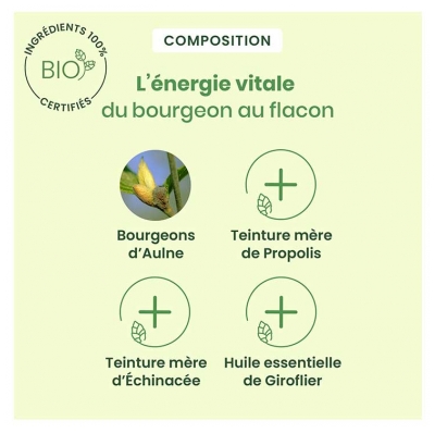 HerbalGem Gorge Duo Propolis Verte et Brune Bio 24 Gommes