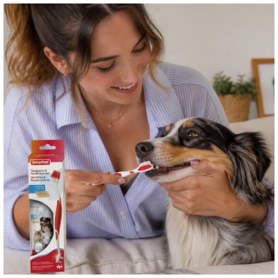 Beaphar Dentifrice + Brosse a Dent pour Chiens et Chats