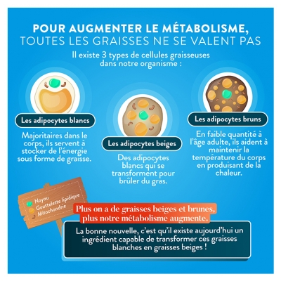 Nutri&Co Brûle-Graisse et Métabolisme 60 Gélules