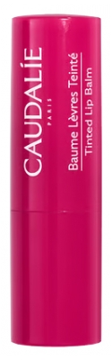 Caudalie Vinotherapist Baume Lèvres Nourrissant Teinté 4,5 g