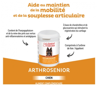 Clément Thékan Articulation Arthrosenior Chiens et Chats Comprimés 60 Unités