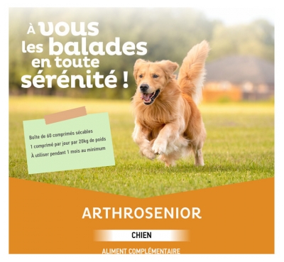 Clément Thékan Articulation Arthrosenior Chiens et Chats Comprimés 60 Unités
