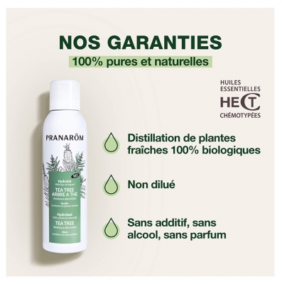 Pranarôm Hydrolat Arbre à Thé Bio Assainissant Melaleuca Alternifolia Distillation de Plantes Fraîches 150 ml