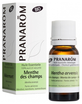Pranarôm Huile Essentielle Menthe Des Champs Bio Mentha Arvensis Partie Aérienne 10 ml