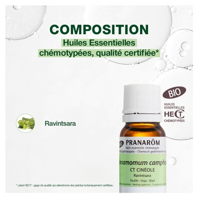 Pranarôm Huile Essentielle Ravintsara Bio Cinnamomum Camphora Ct Cinéole Feuille 10 ml