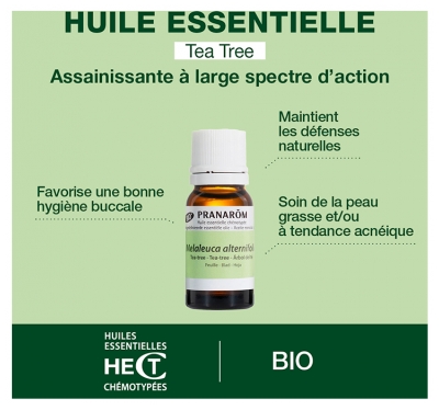 Pranarôm Huile Essentielle Tea Tree Arbre à Thé Melaleuca Alternifolia Bio (Eco) Hect 10 ml