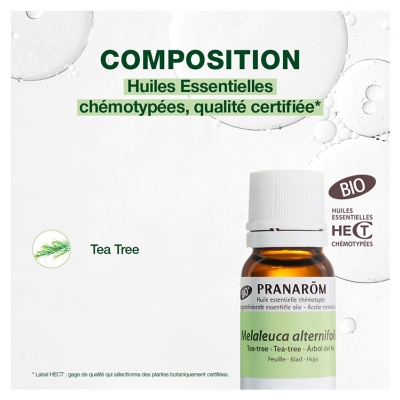 Pranarôm Huile Essentielle Tea Tree Arbre à Thé Melaleuca Alternifolia Bio (Eco) Hect 10 ml
