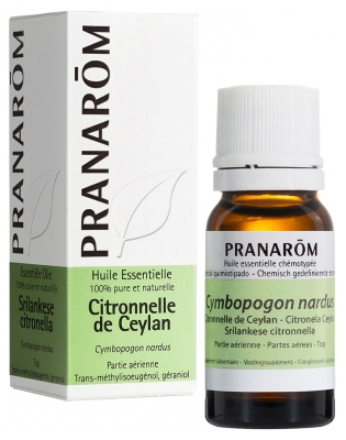 Pranarôm Huile Essentielle Citronnelle de Ceylan Cymbopogon Nardus Partie Aérienne Hect 10 ml