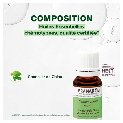 Pranarôm Huile Essentielle Cannelier de Chine Cinnamomum Cassia Rameau Feuillé Hect 10 ml
