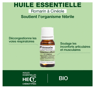 Pranarôm Huile Essentielle Romarin à Cinéole Bio Rosmarinus Officinalis Ct Cineole Sommité Fleurie 10 ml