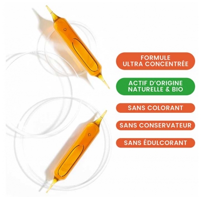 Santarome Ruche Royale Gelée Royale 4000 mg 10 Ampoules de 15 ml