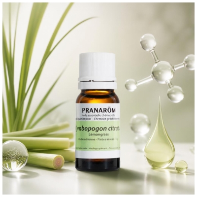 Pranarôm Huile Essentielle Lemongrass Cymbopogon Citratus Partie Aérienne Hect 10 ml