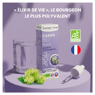 Santarome Cassis Macérat de Bourgeons Bio 30 ml