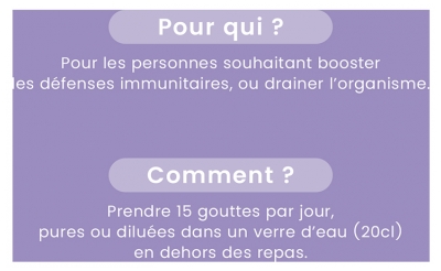 Santarome Cassis Macérat de Bourgeons Bio 30 ml