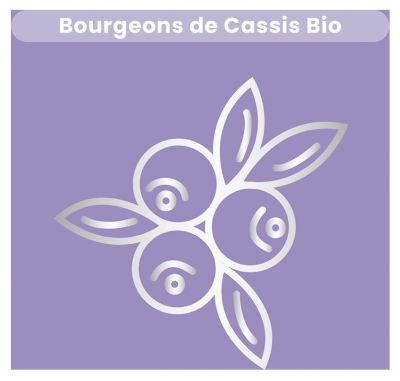 Santarome Cassis Macérat de Bourgeons Bio 30 ml