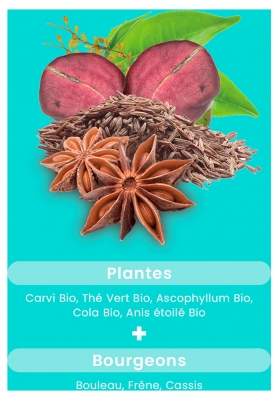Santarome Bio Ventre Plat Bio 30 Unités