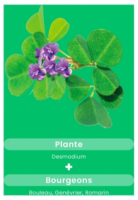 Santarome Phyto Desmodium 2500 Double Action 30 Gélules