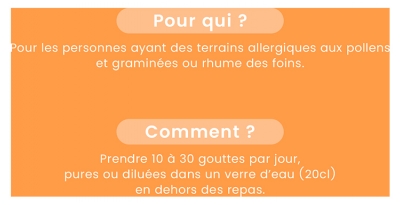 Santarome Bio Allerus Bouleau Cassis Noyer Bio 30 ml